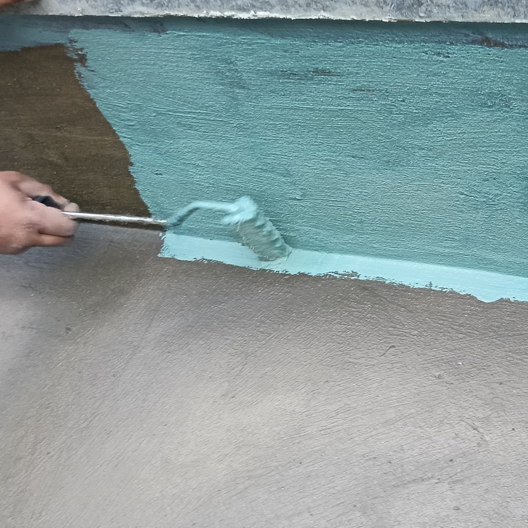 WhatsApp Image 2025-01-14 at 17.14.21_1e3583ae